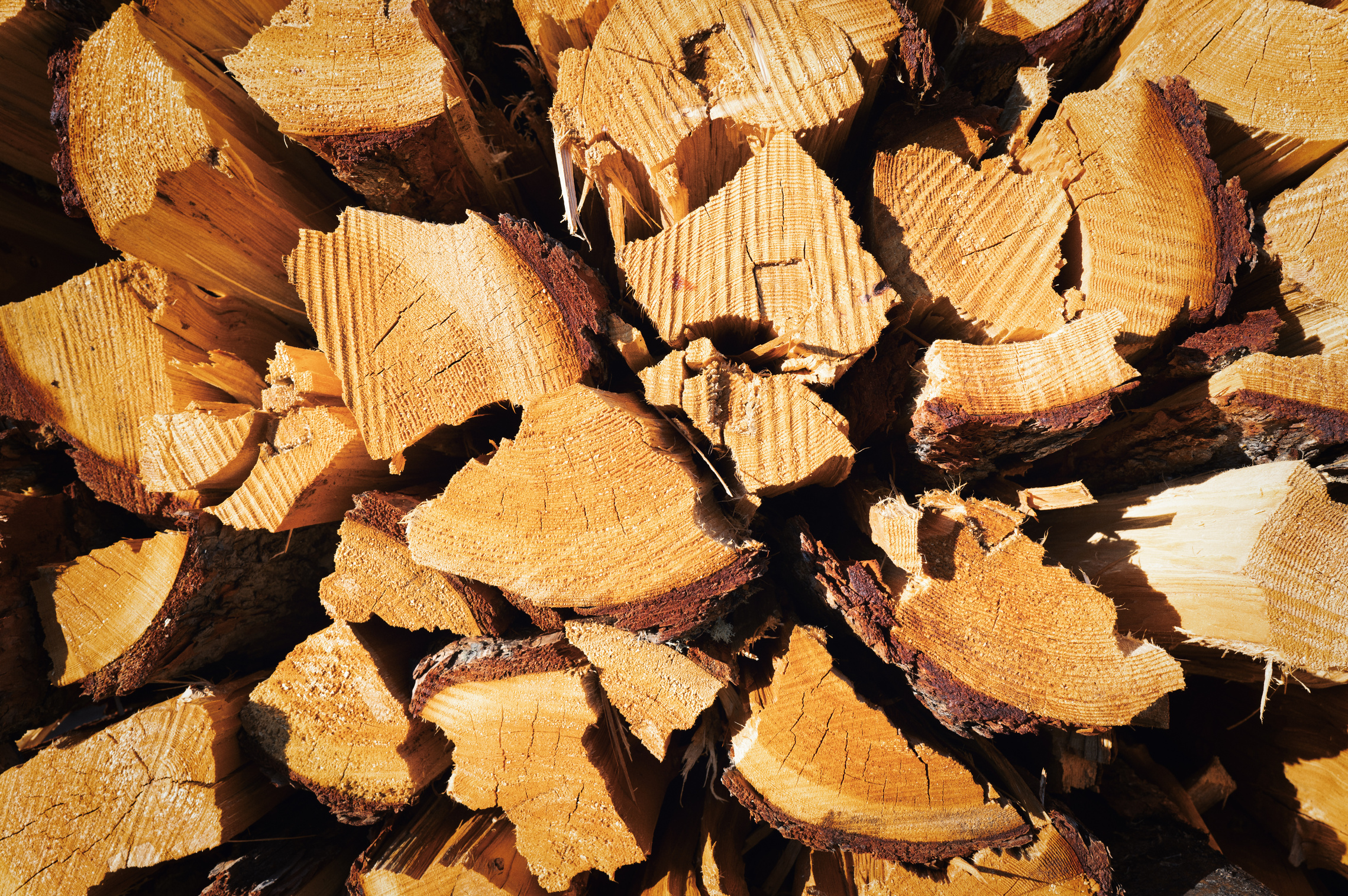 Details of Firewood for fire cut and stacked