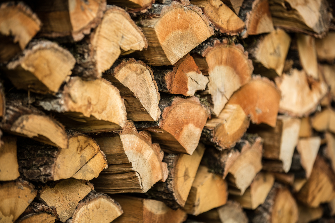 woodpile