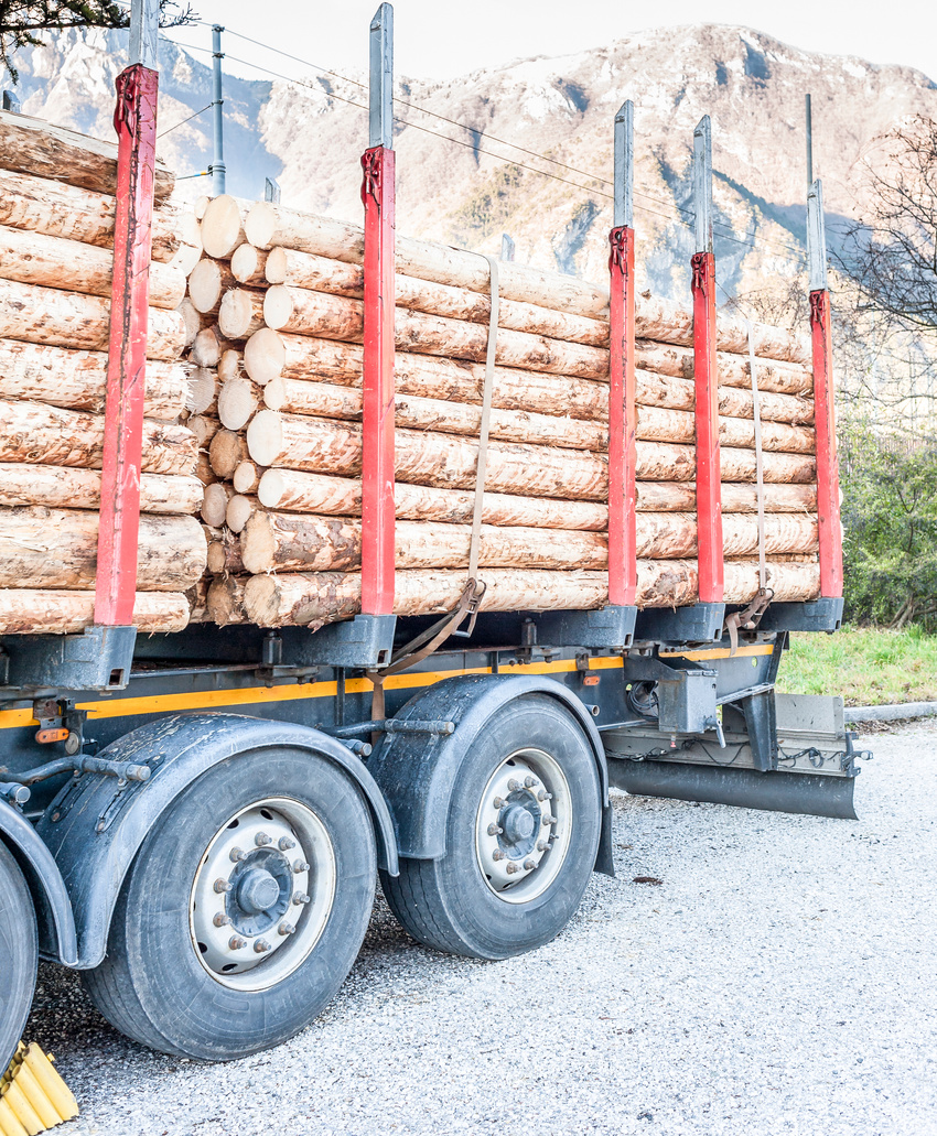 Trucks charged with wood logs waiting for delivery